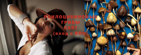 apvp Абдулино